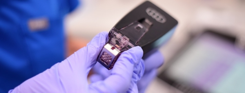 que es el morpheus 8